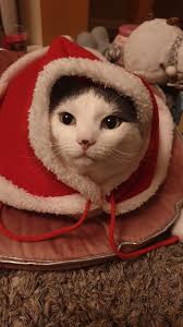 Corazon group celebrates Christmas