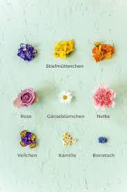 Essbare Bluten Liste Unsere Lieblingsbluten Hellofresh Blog Essbare Blumen Blumen Essen Essbare Bluten