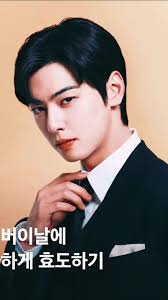 Mr Cha Eun Woo Felix Advert