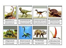 dinosaures lexique 2 graphies ecole maternelle gellow dinosaure prehistoire imprimer des coloriages de winnie l&#x00027;ourson gratuitement