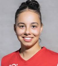 Schweizerischer Fussballverband