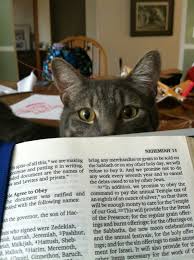 But his delight is in the law of the lord; Bible Cat Cats In Writing Merchandise