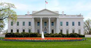 Although white house design studio offers the finest quality, fresh and inspiring flower arrangements, we are still competitive with our pricing in our industry. Poppy Flowers And Fountain In Front Of White House