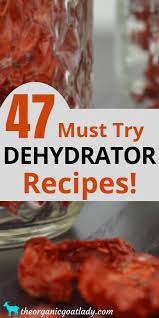 47 Food Dehydrator Recipes The Organic Goat Lady Best Food Dehydrator Dehydrator Recipes Recipes
