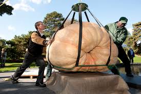 Image result for giant pumpkin
