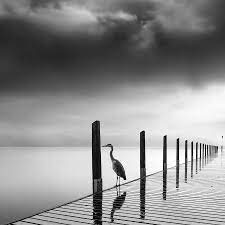 Photo Jobs Le Portfolio D 39 Images Parfaites Du Photographe Grec George Digalakis Est S Black And White Landscape White Photography Black And White Pictures