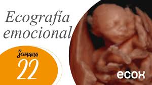 Durante esta semana, con una velocidad de vértigo se desarrollan los sentidos del niño. Ecografia 22 Semanas De Embarazo Ecox