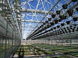 Nexus Greenhouse Systems Glass Garden Lighting Fixtures Modern Outdoor Lighting Greenhouse