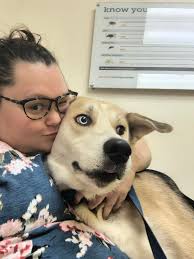 Hey y'all I'm Dawn. I'm from Cincinnati Ohio. I'd love to find some good  solid Christian friendships because none of my friends are believers/help  strengthen my faith. I'm happy to be in