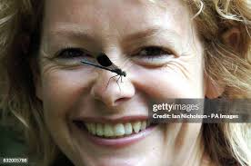 70 National Insect Week Stock Photos, High-Res Pictures, and Images