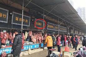 Sars can also be spread indirectly via surfaces that have been touched by someone who is infected with the virus. Ada Kelelawar Di Balik Wabah Sars Mers Dan Virus Corona Wuhan Tekno Tempo Co