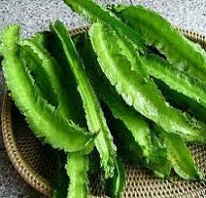 Image result for Psophocarpus grandiflorus