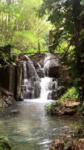 Nature Video Waterfalls Backyard Ponds Backyard Pond Landscaping