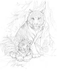 Check spelling or type a new query. Tiger Coloring Pages