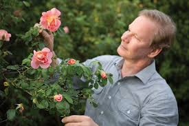 P. Allen Smith's Roses & Rose Garden - Flower Magazine