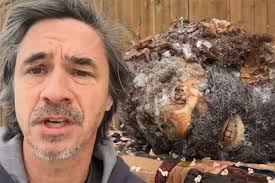 Man Claims His Dad Shot Bigfoot in 1953 and He Has the Creature's Head to  Prove It