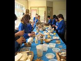 Southern Ocean Education Education Environmental Education Education World