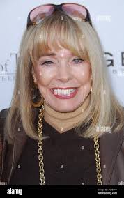 Terry taylor hi-res stock photography and images