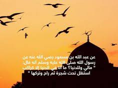 Pin On The Prophet Muhammad Peace Be Upon Him صلى الله عليه وسلم