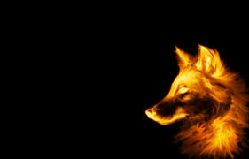Mungkin bagi para pecinta free fire tentunya wallpaper hp nya gambar free fire. Fire Wolf Wallpapers Top Free Fire Wolf Backgrounds Wallpaperaccess