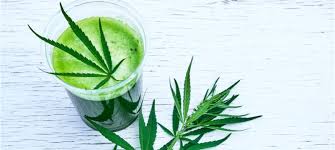 Using CBD To Detox From THC | The Extract