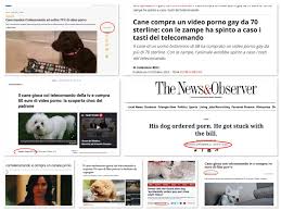 Questa è la storia di un cagnolino che compra un film a luci rosse: da  quattro anni appare sui media di mezzo mondo. Sempre diversa - Open