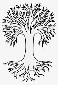 ✓ free for commercial use ✓ high quality images. Details Png Png Bare Tree Drawing With Roots Transparent Png 1003x1471 Free Download On Nicepng