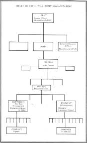 the civil war by james i robertson jr a project