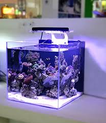 Led Light Coral Grow Marine Reef Tank White Blue Aquarium Fish Tank Sps Lps Color Grow Zet Light Aquariums Lights