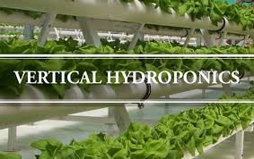 A wide variety of plant hydroponic options are available to you, such as warranty of core components, key selling points, and applicable industries. Vertical Hydroponics A Complete Guide Gardening Brain