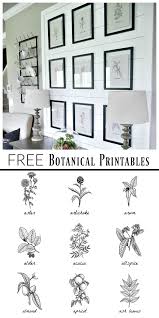 Black And White Botanical Prints Free Free Botanical Prints Taryn Whiteaker Dining Room Printables Botanical Prints Free Free Printable Wall Art