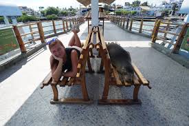 Edith und Gerrit auf Weltreise