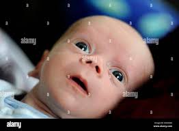 17 02 2010 hi-res stock photography and images