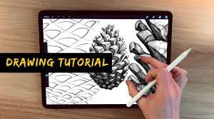 Anyone who is familiar with other adobe software will have no trouble using fresco. Ipad Pro Drawing Tutorial Pine Cone Drawing Without Reference Youtube