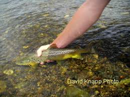kettle creek pennsylvania trout pro store