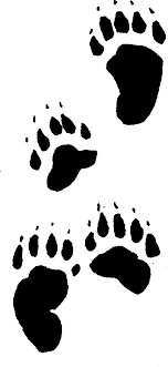 Usssp Clipart Library Bear Paw Print Bear Paw Tattoos Bear Tracks