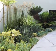 10 Tips For A Stylish Contemporary Garden Design Succulent Landscape Design Small Backyard Landscaping Low Water Landscaping