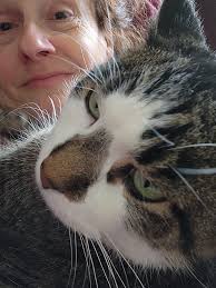 Introduction and pet photo sharing in CATTITUDE group