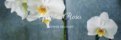 Pleasant hill florist proudly serves pleasant hill and the surrounding areas. The 8 Best Options For Flower Delivery In Santa Rosa 2021