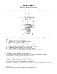 Grade9 Digestion Test
