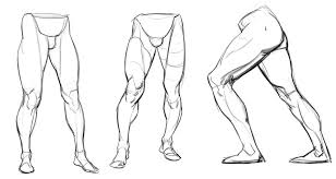 Artstation How To Tb Draw Legs Tips Human Anatomy Drawing Anatomy Drawing Anatomy Sketches