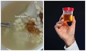 Obat infeksi saluran kencing kotor bernanah keluar darah pada pria wanita yang disebabkan oleh penyakit sexual seperti gonorre,sipilis raja singa. Anda Kencing Kotor Dan Tak Lawas Air Campuran Barli Ini Mampu Merawat Penyakit Tersebut Daily Makan