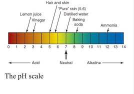 We explain it also means the scalp stays at its natural ph. The Importance Of Ph Hair And Hair Products Hair Science Ph Balanced Shampoo Levels Of Hair