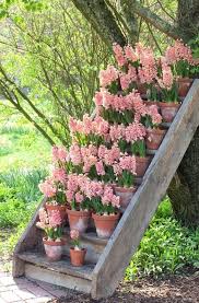 15 Einzigartige Und Schone Behaltergarten Ideen Hyazinthe Gardendecoration Blumen Malen Diy In 2020 Gartencontainer Topf Und Kubelpflanzen Container Garten