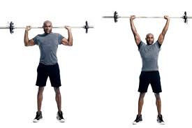 Pour bien cibler les épaules, il convient donc de choisir des exercices qui ciblent les 3 faisceaux, dont les mouvements de base polyarticulaires comme le développé. Musculation Des Epaules Les 4 Fantastiques Pour Deltoides