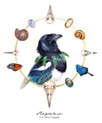 Magdelena The Mean Magpie By Balaa Magpie Art Magpie Tattoo Bird Art