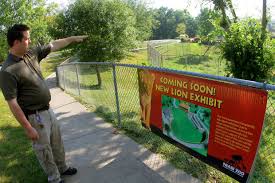 Kito is the first rhino species, of any kind, to be held at the zoo. Niabi Zoo Elephants Going Lions Next Big Thing Local News Qctimes Com