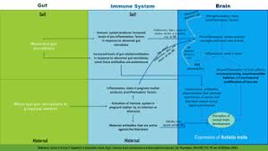 The symptoms of autism in adults can differ from those in children, and many adults have learned to live with their symptoms over the years. Autism Spectrum Wikipedia