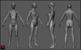 8203f24ece5e612253f1ea0906f8ab01 Jpg 736 455 Human Body Model Body Drawing 3d Human