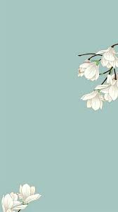 Choose from hundreds of free aesthetic wallpapers. Iphone Homescreen Wallpaper Iphone Homescreen Wallpaper Flower Background Wallpaper Flower Background Iphone